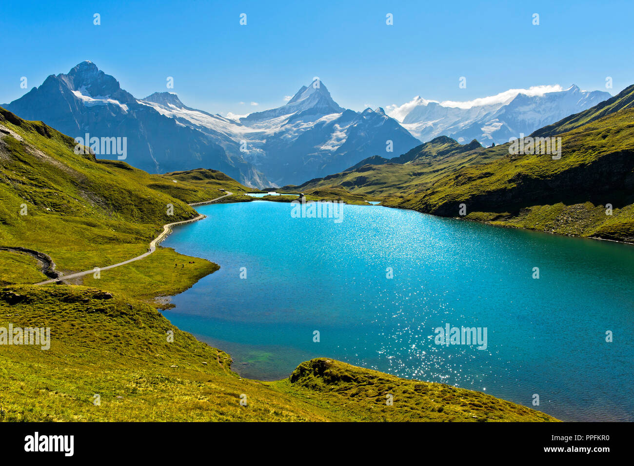 Bachalpsee und die Gipfel Schreckhorn, Finsteraarhorn, Grindelwald, Berner Oberland, Schweiz Stockfoto