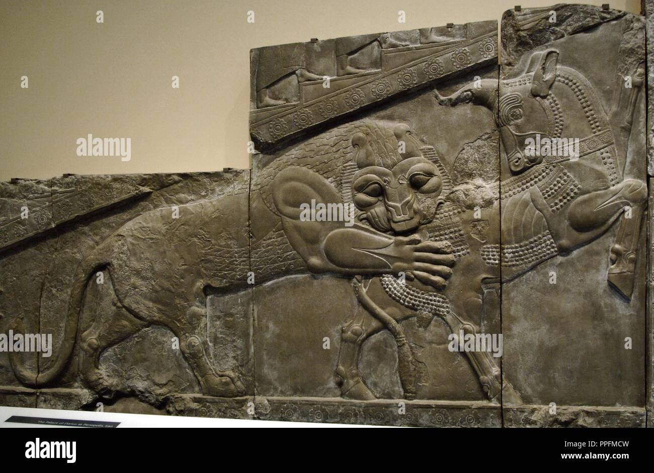 Palast von Darius I (522-486 v. Chr.). Reliefs der äußeren Wand des Treppenhauses der Apadana oder Empfangshalle, die einen Kampf zwischen einen Löwen und einen Stier. Persepolis. Kopie der ursprünglichen in ihrem ursprünglichen Ort erhalten (Iran), 1892. British Museum. London. England. Vereinigtes Königreich. Stockfoto