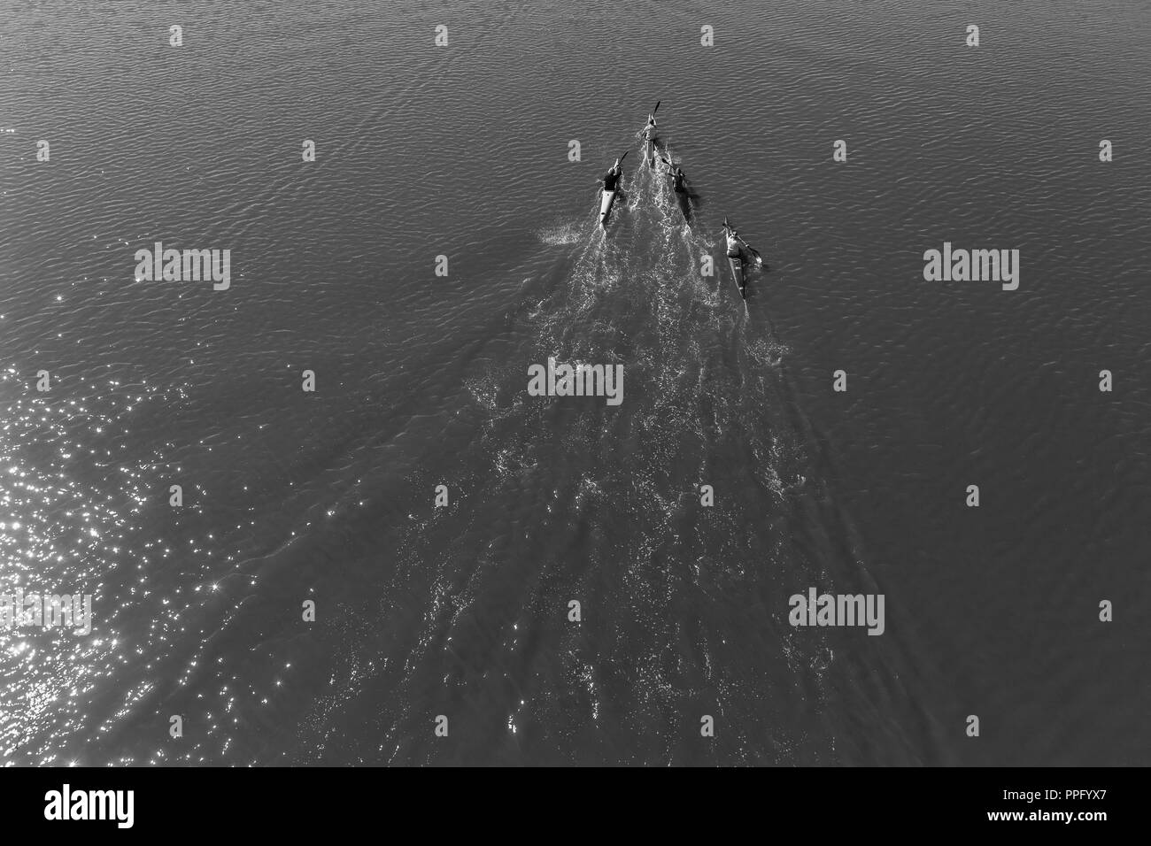 Athlet Paddler Kanu morgen Praxis bis glasig Fluss Gewässer unter Brücke schwarz weiße Landschaft Stockfoto