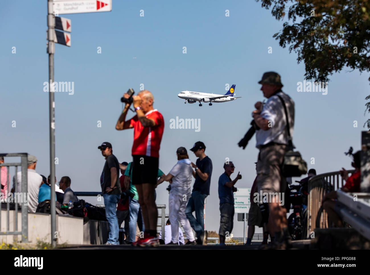 Flughafen Frankfurt/Main, FRA, Fraport, Lufthansa Airbus nähern, Plane Spotter, Stockfoto