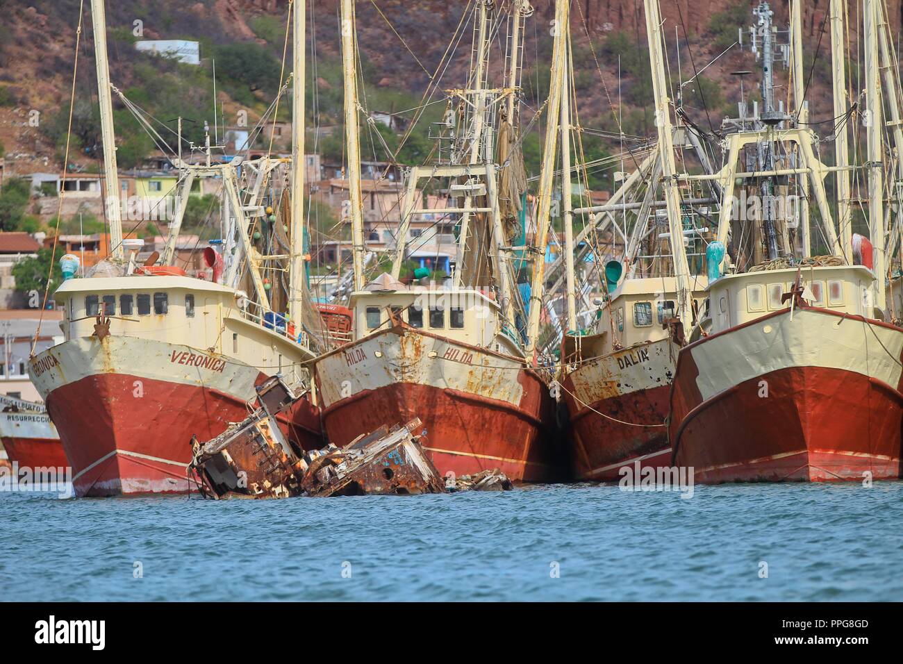 Bericht der Fischerhafen von Guaymas Sonora. Reportaje del Puerto pesquero de Guaymas Sonora. Stockfoto