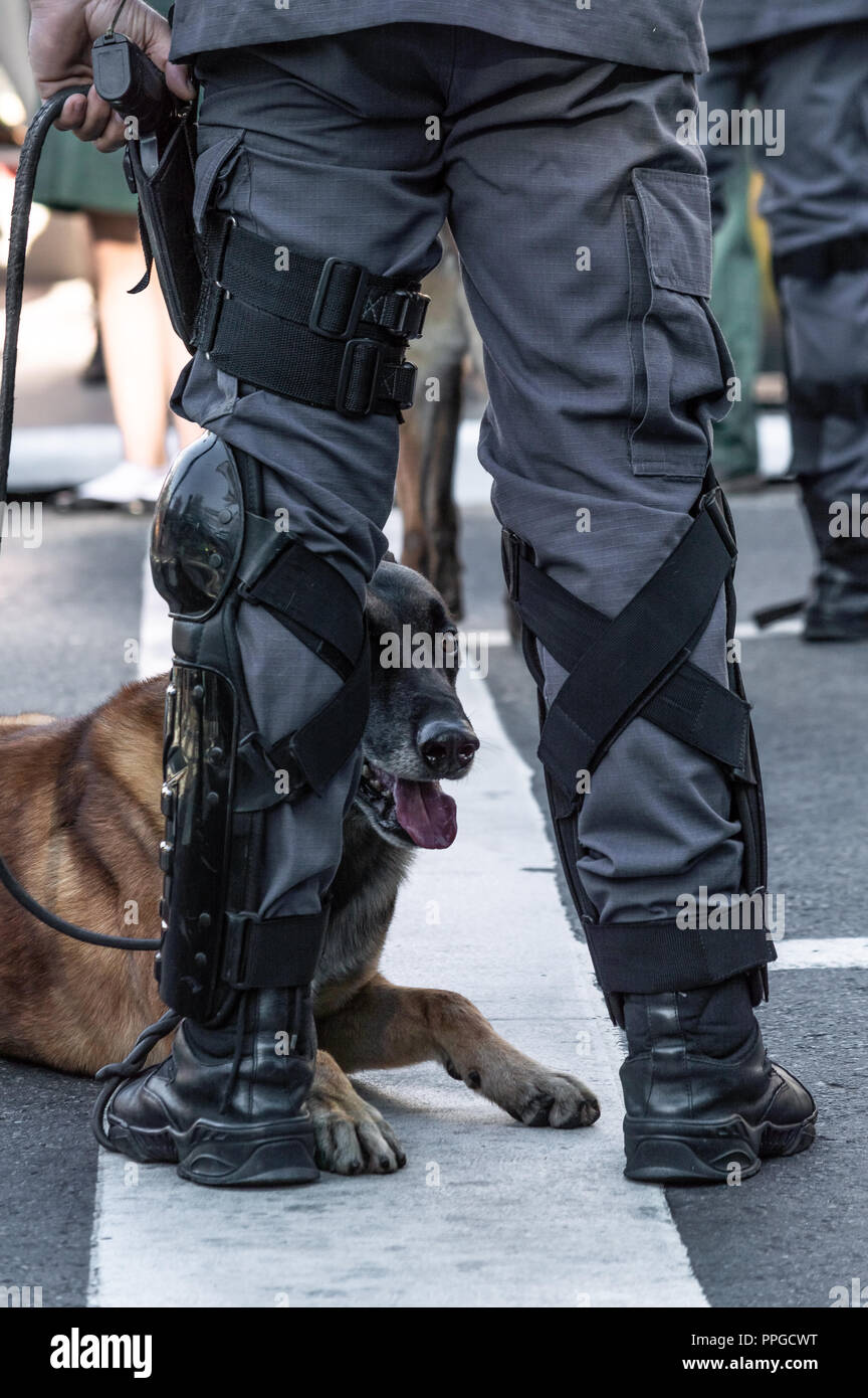 Die Beine Polizist stand auf der Straße mit seinem Hund Stockfoto