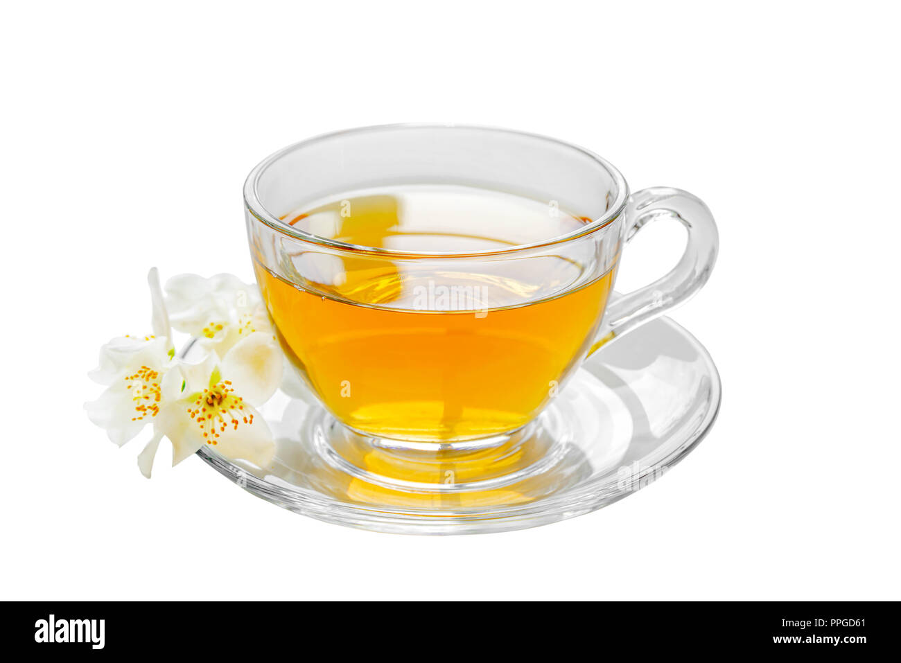 Transparentes Glas Tasse grüner Tee mit Jasminblüten auf weißem Hintergrund Stockfoto