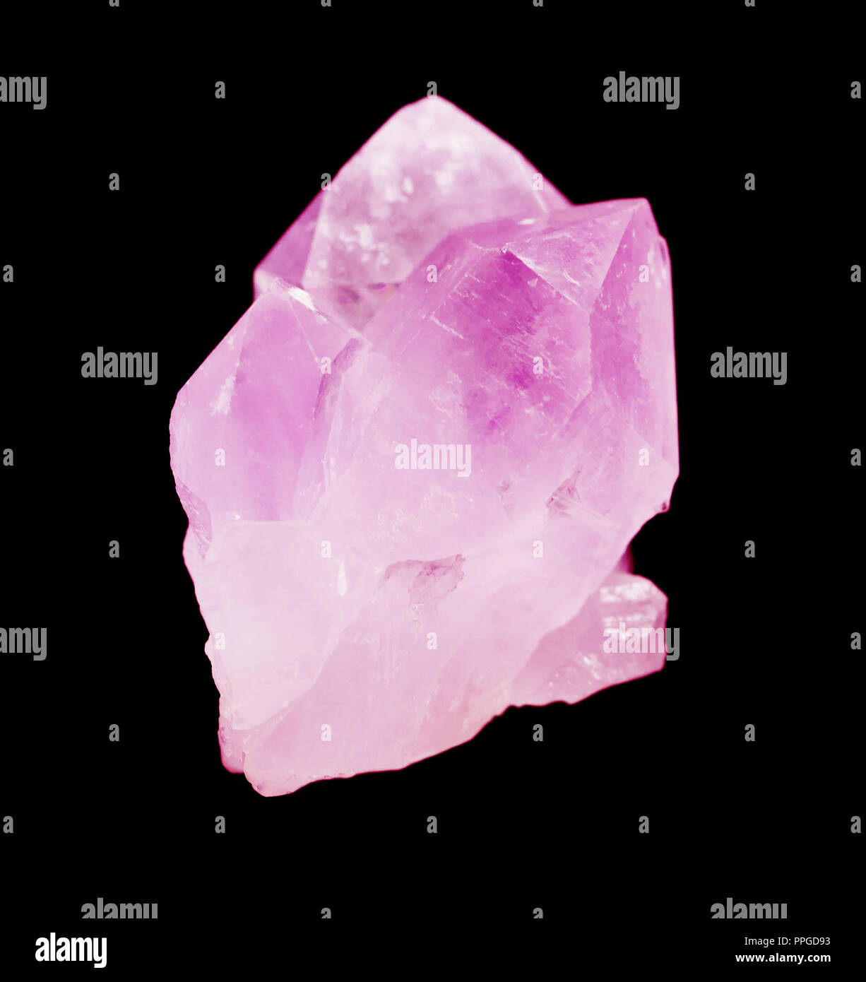 Mehrere Kristalle von Pink Quarz auf schwarzem Hintergrund Stockfoto