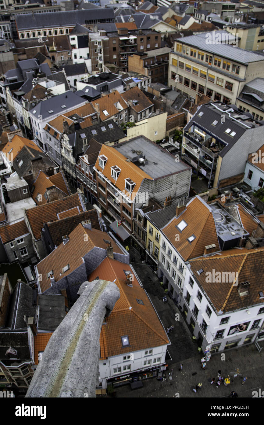 Anzeigen von Gent von der Höhe, Detail von Belgien, Tourismus Stockfoto