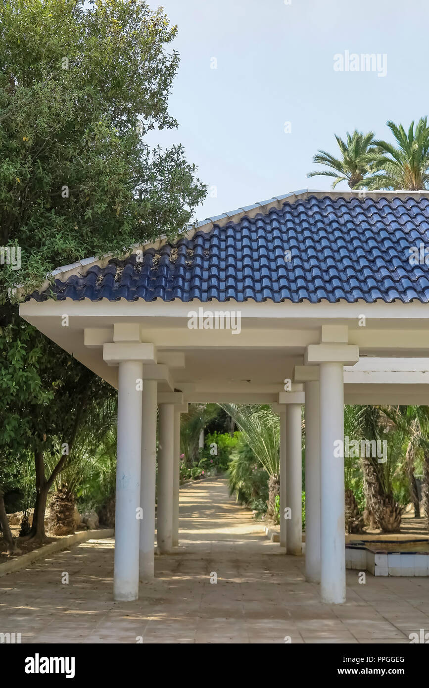 Tempel und Palmen auf dem Weg von El Palmeral Park in der Stadt Alicante, Spanien Stockfoto