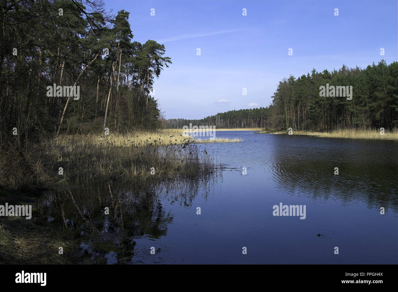 Lagune Jeżewo auf die Pogona River. Jeżewo Zalew na rzece Pogona. Großpolen, Polen Stockfoto