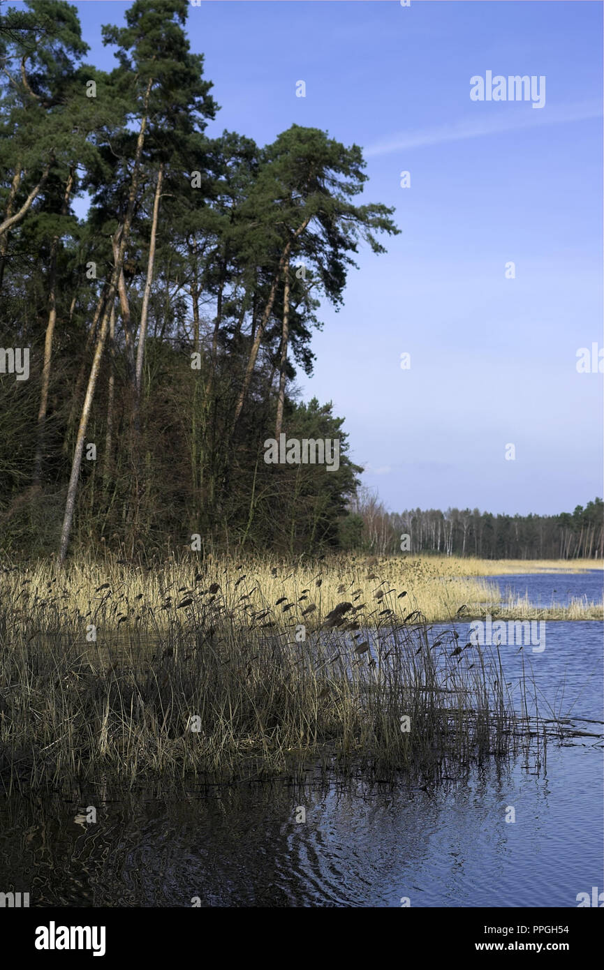 Lagune Jeżewo auf die Pogona River. Jeżewo Zalew na rzece Pogona. Großpolen, Polen Stockfoto