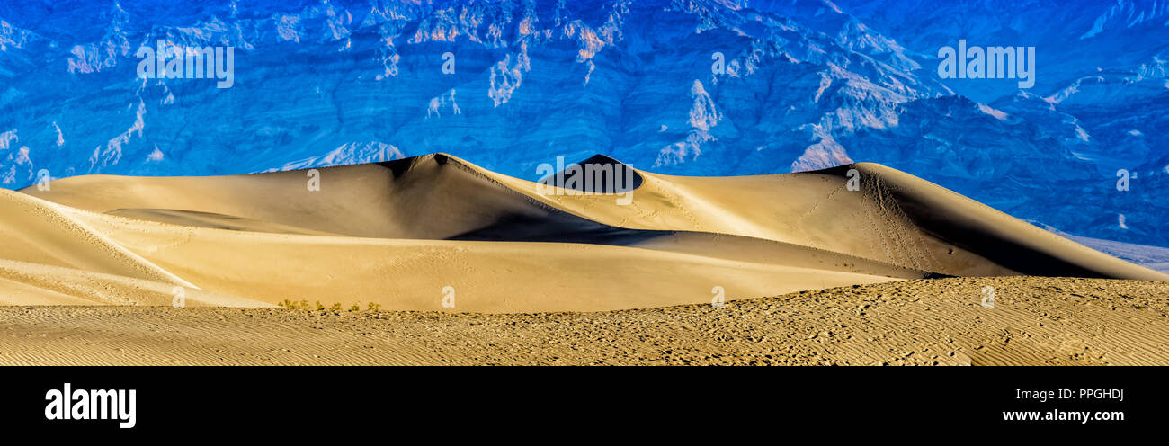 Spuren im Sand Dunes Mesquite Flats, Stovepipe Wells, Death Valley National Park, Kalifornien Stockfoto