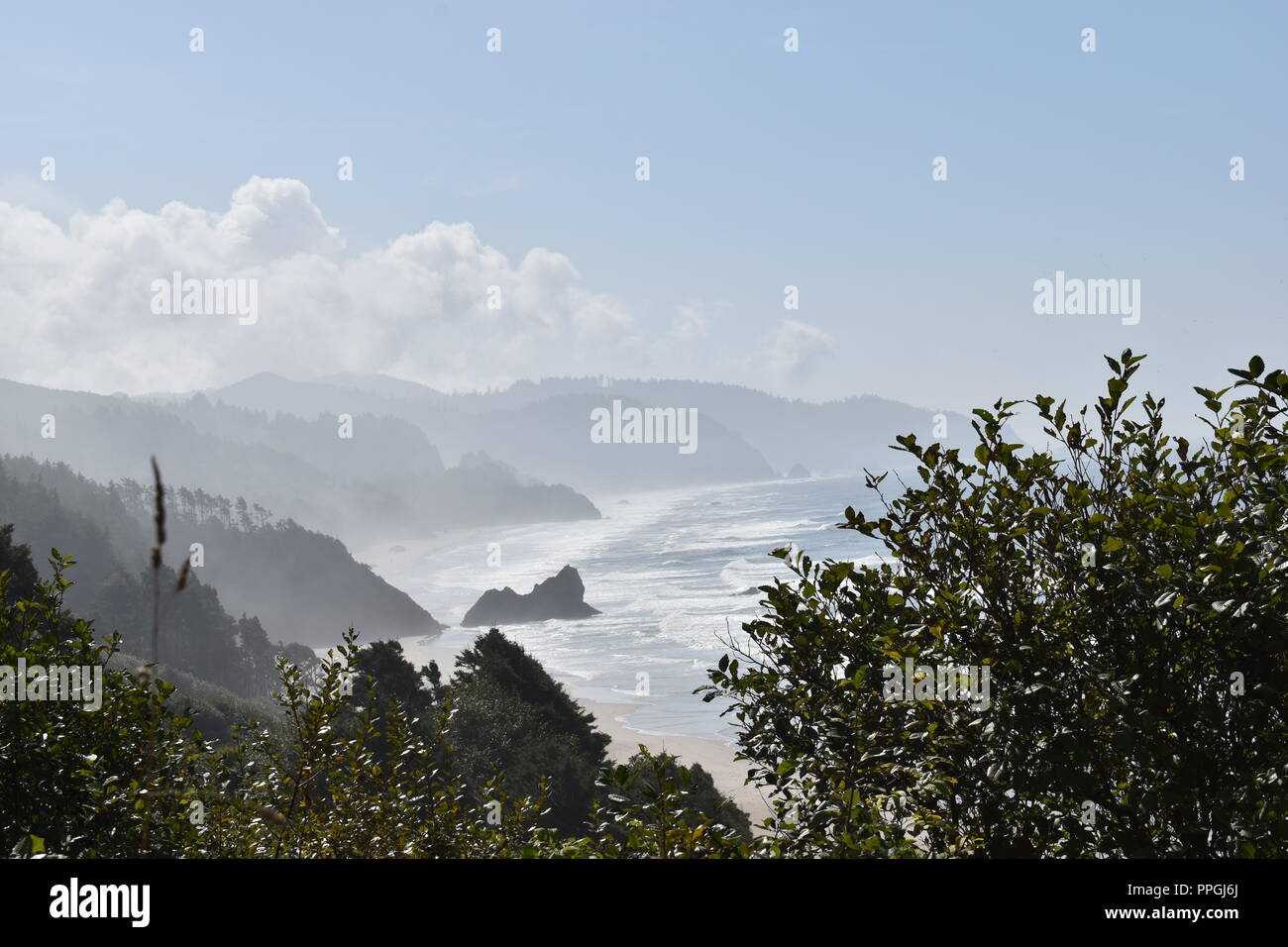 Foggy Oregon Küste Stockfoto