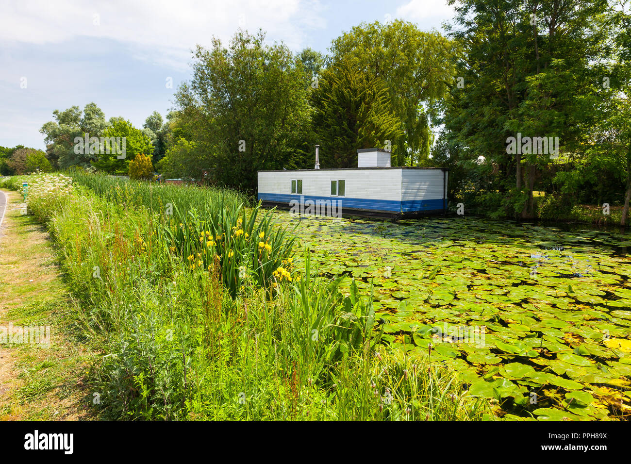 Hausboote auf Kanal Chichester West Sussex England UK Europa Stockfoto