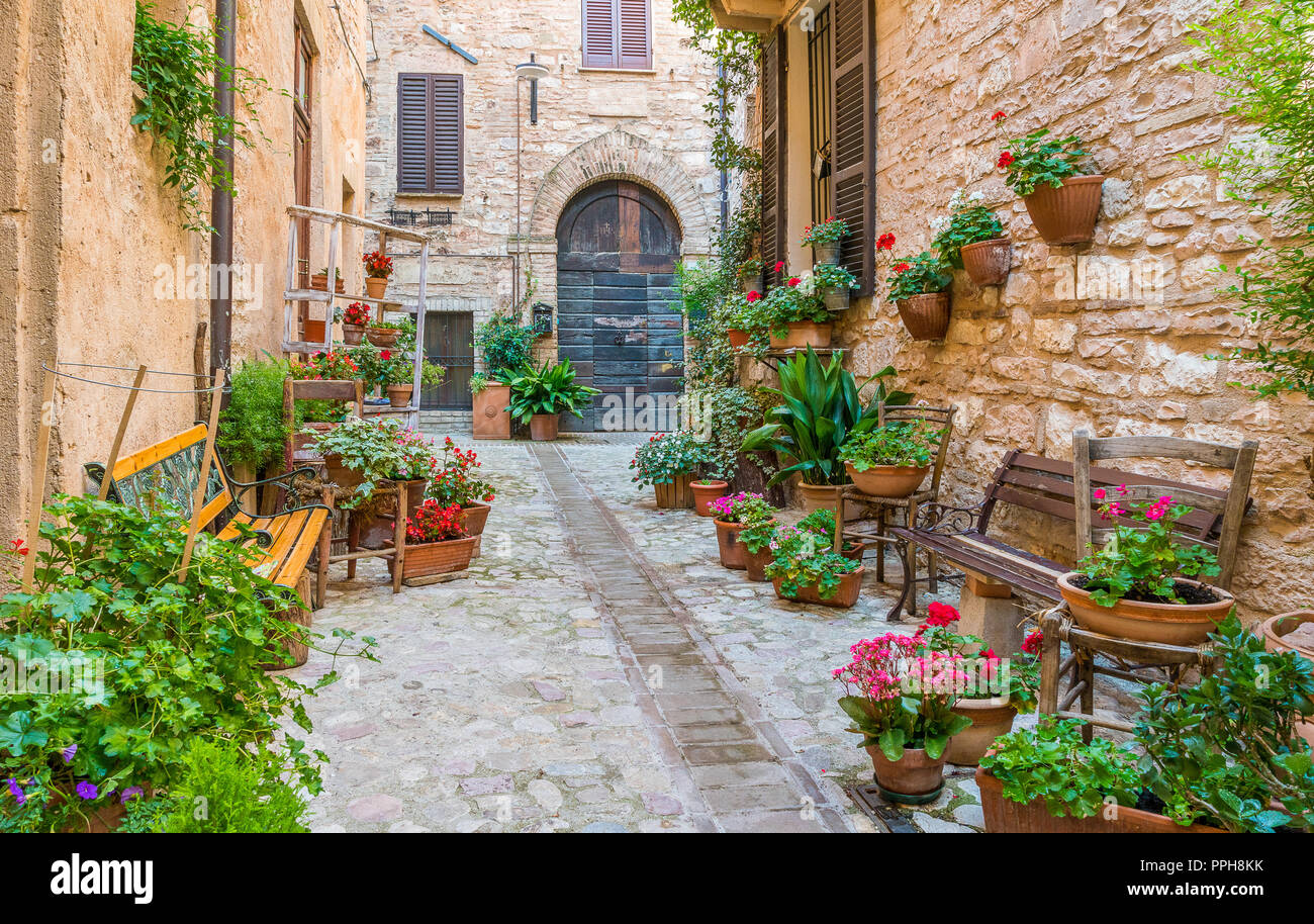 Malerische Anblick in Spello, blumig und malerischen Dorf in Umbrien, Provinz Perugia, Italien. Stockfoto