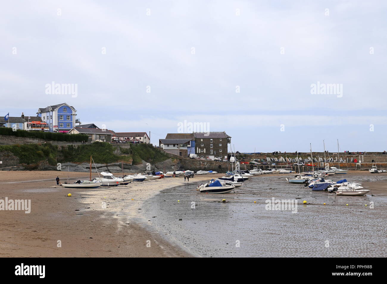 Hafen Strand bei Ebbe, New Quay, Cardigan Bay, Ceredigion, Wales, Großbritannien, USA, UK, Europa Stockfoto