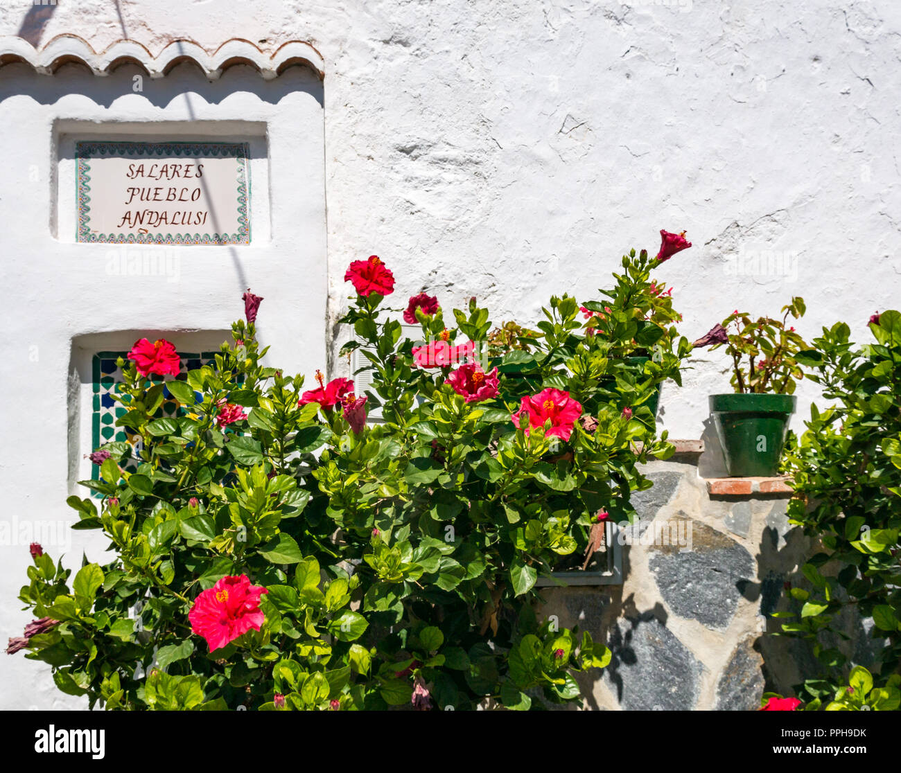 Ortsschild in weiße Wand mit Hibiskus Blumen, alten maurischen Dorf Salares, Axarquia, Andalusien, Spanien Stockfoto