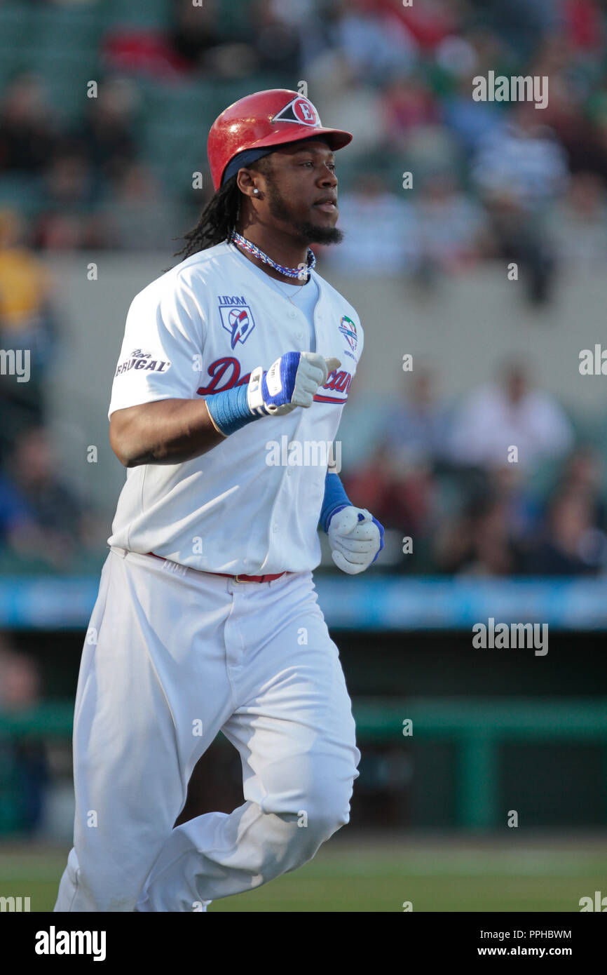 Republica Dominicana, durante El primer Dia de acción en la Serie del Caribe 2013. 1 Febrero (Foto: LuisGutierrez/NortePhoto) Stockfoto