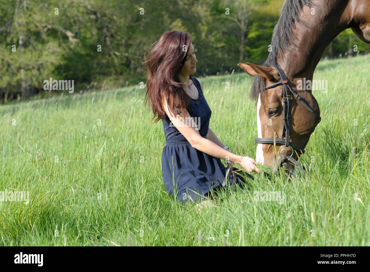 Schöne Mädchen mit Pferd in einem Feld Stockfoto