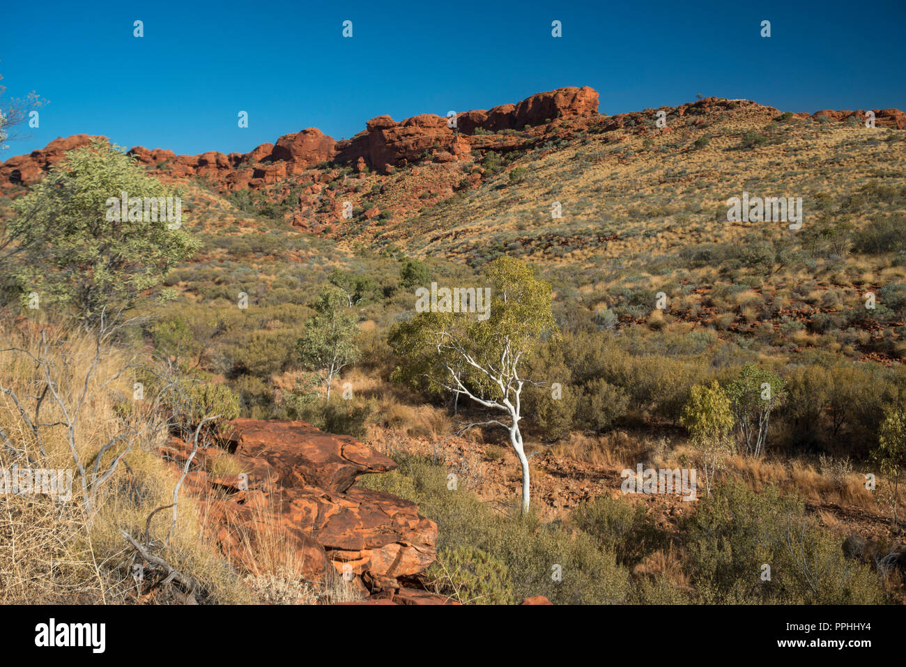 Kings Canyon National Park, Watarrka National Park, Rim, George Gill Range, Notherrn Territory, Australien Stockfoto