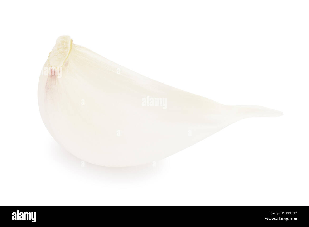Frische Knoblauchzehe, auf weißem Hintergrund Stockfoto