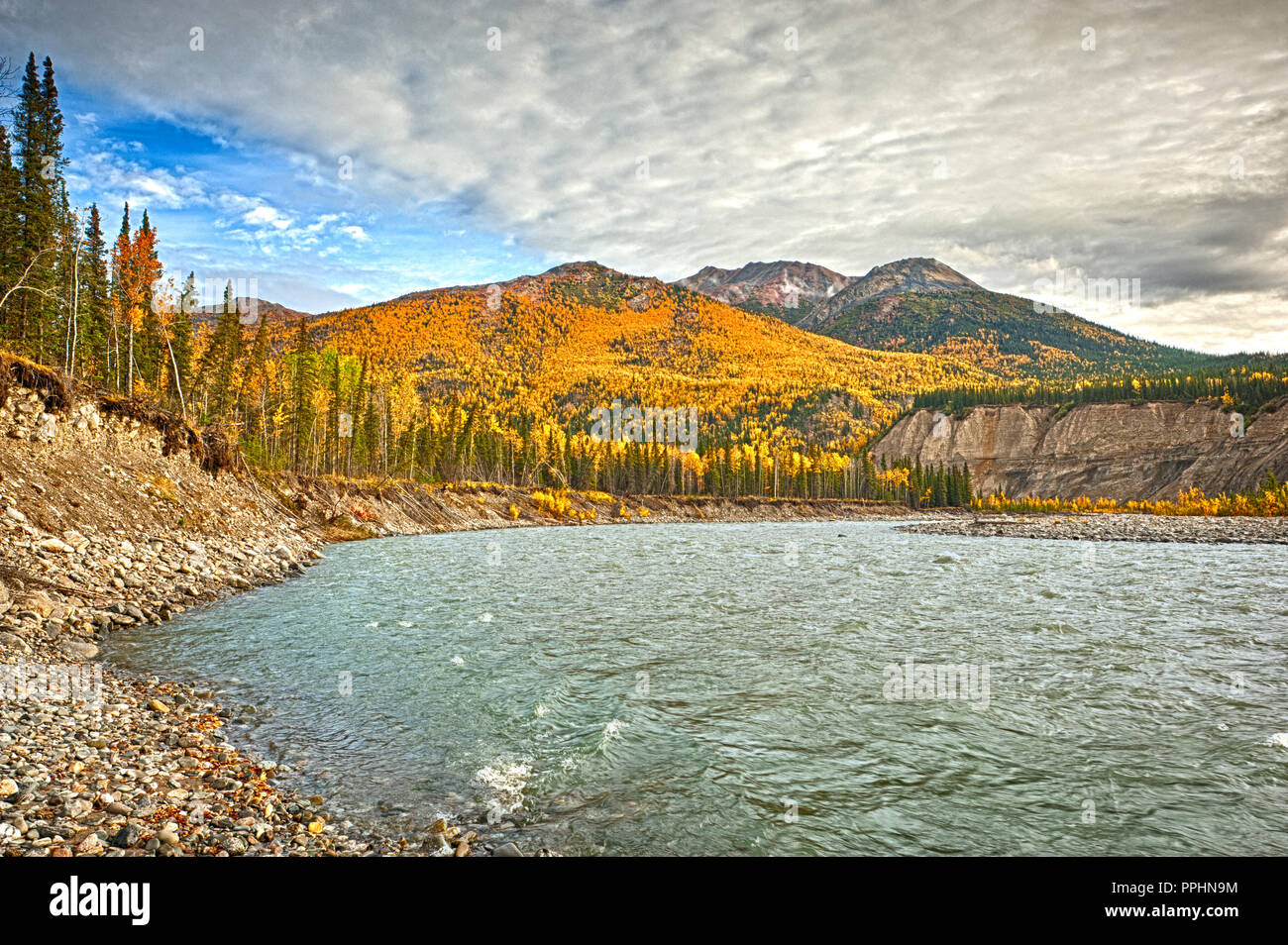 Herbst Farben; Alaska; Alaska Range Berge; Nenana River; Stockfoto