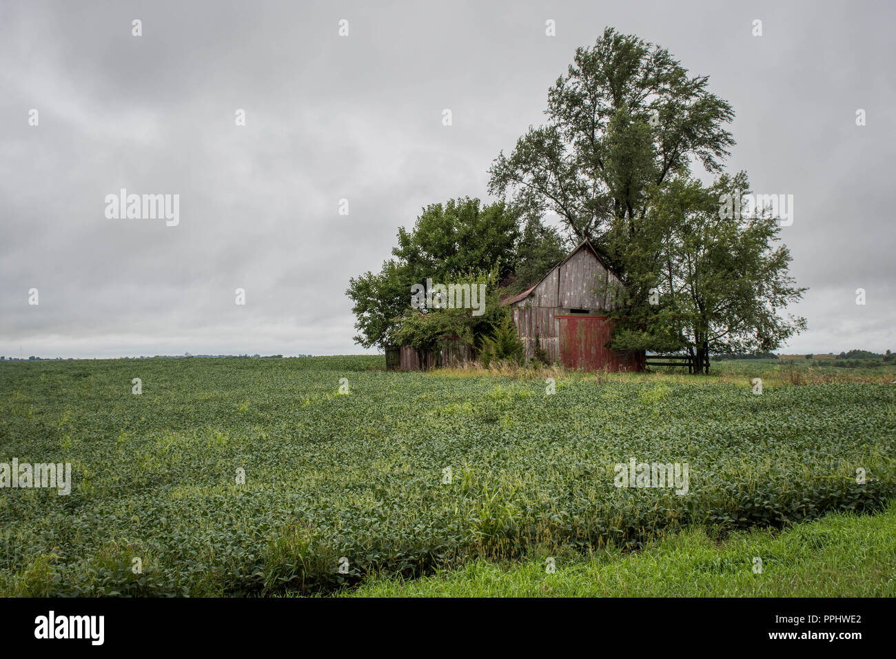 Ein verwittertes Scheune, Winterset, Madison County, Iowa, USA Stockfoto