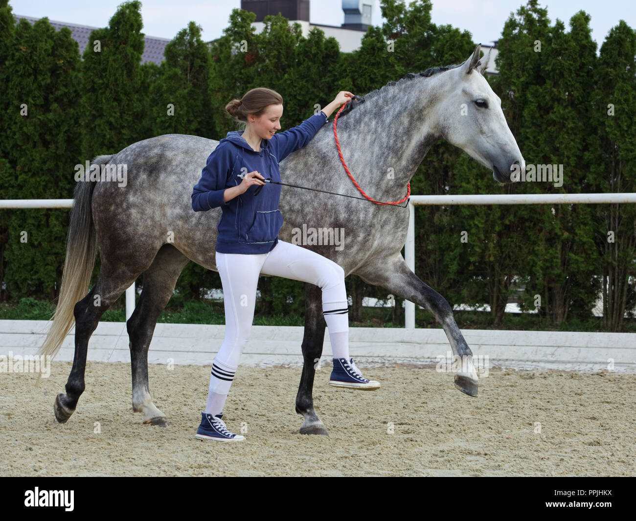 Frau und Pferd, Natural Horsemanship Praktiker Stockfoto