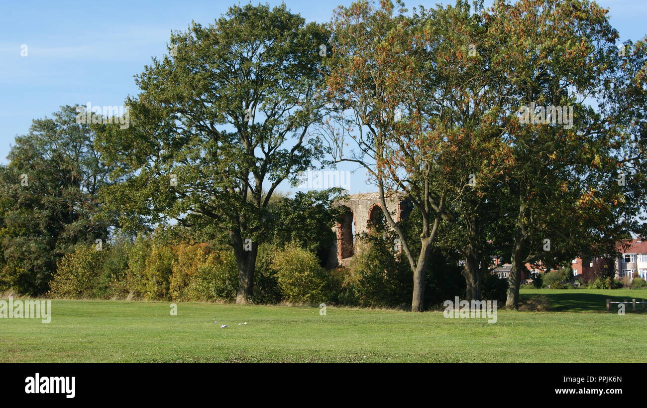 Caludon Schlosspark und Ruinen Stockfoto