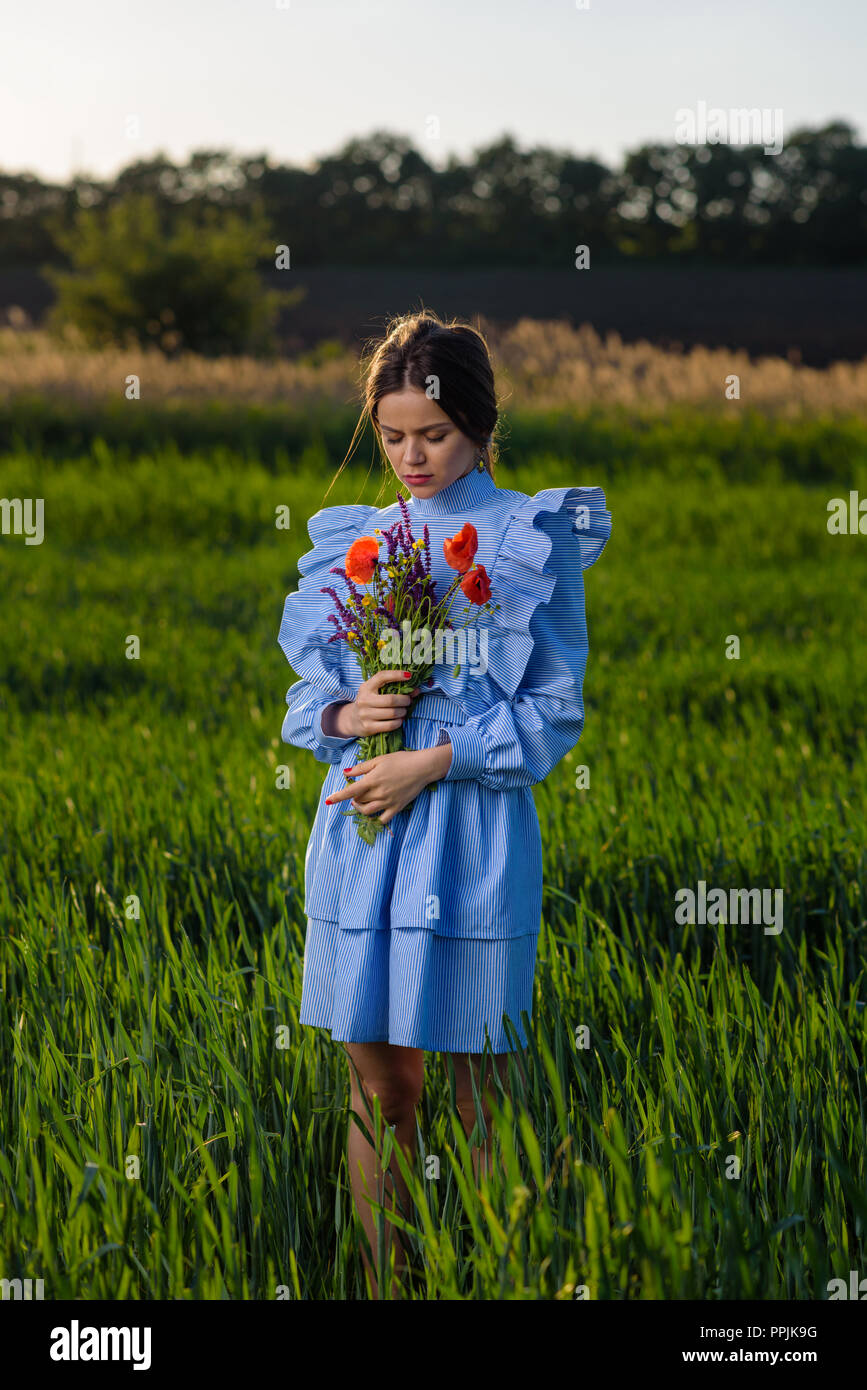 Junge Frau in blau-weiß gestreiften Kleid ist unten schauend, Holding einen  Blumenstrauß der Sommer Blumen, während im Bereich der grünen Weizen an  einem autolöscher Stockfotografie - Alamy