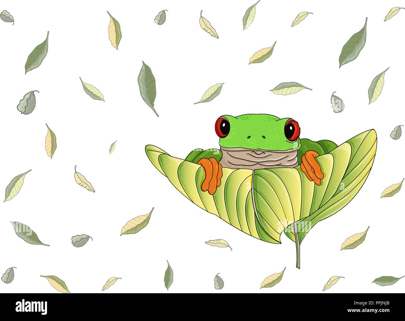 Schöne red-eyed Green Tree Frog mit orange Füße und Zehen sitzt und schaut heraus auf einem großen Blatt. Flying grüne und gelbe Blätter sind auf dem Hintergrund. Stock Vektor