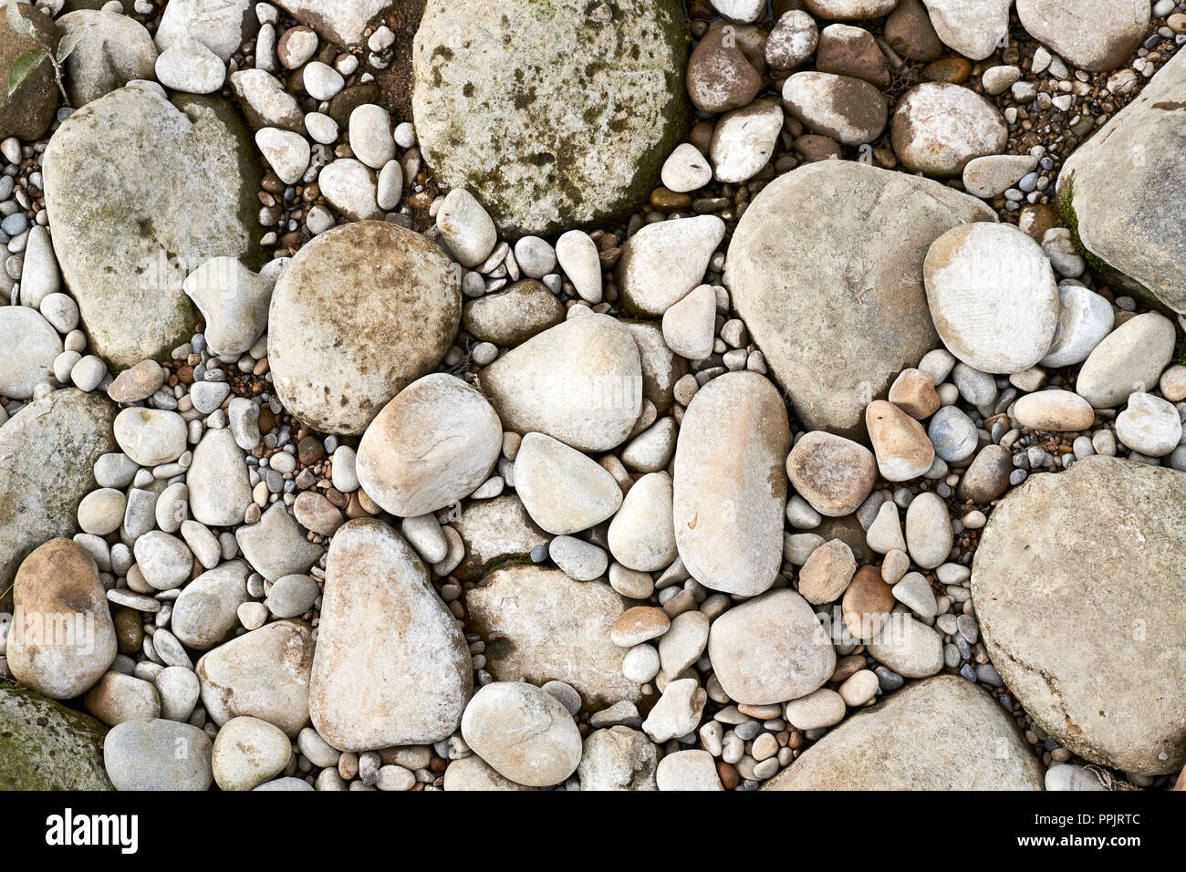 Riverbed Kieselsteine am Ufer des River Wharfe, Bolton Abbey, North Yorkshire, Großbritannien ausgesetzt. Stockfoto