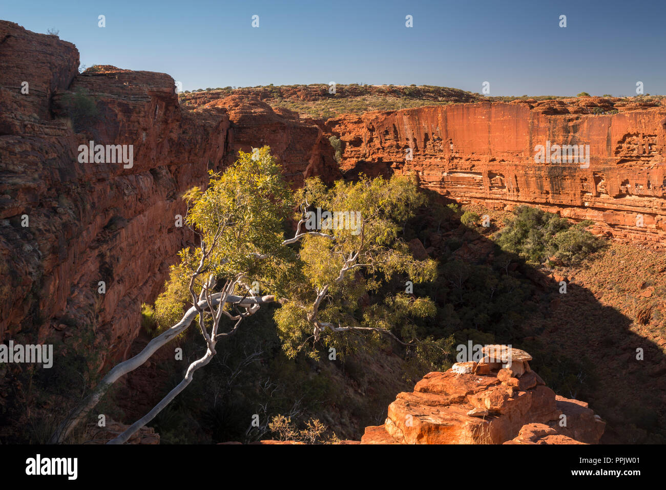 Rim Walk und Cliff, Kings Canyon, Watarrka National Park, Australien Stockfoto
