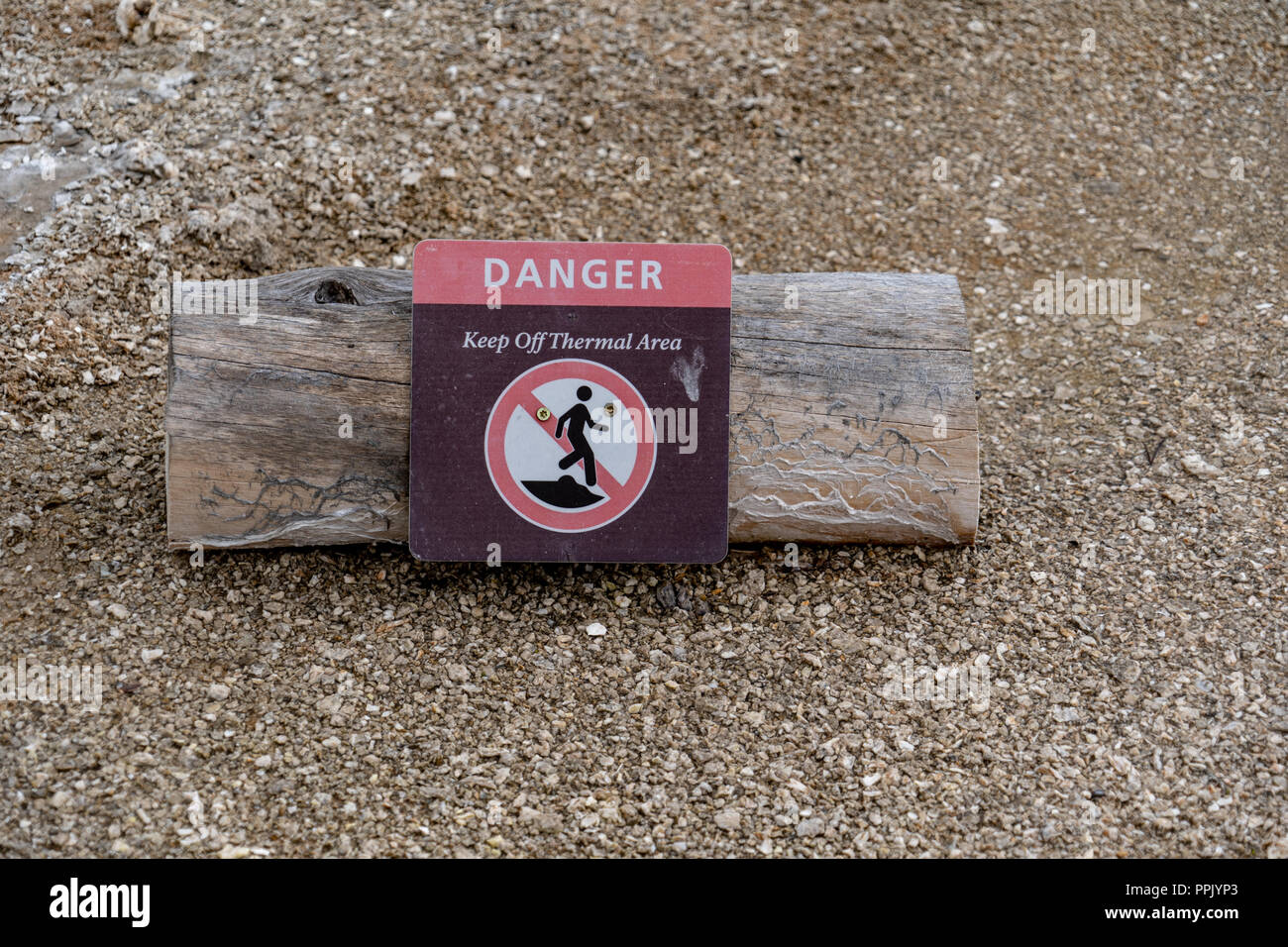 Ein Protokoll mit einer Warnung Schild warnt Touristen und Besucher aus der thermischen Bereichen im Yellowstone National Park zu bleiben. Hot Spring Pools erreichen hohe Tempe Stockfoto