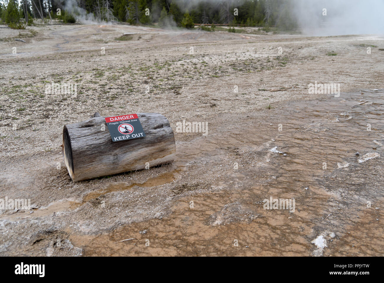 Ein Protokoll mit einer Warnung Schild warnt Touristen und Besucher aus der thermischen Bereichen im Yellowstone National Park zu bleiben. Hot Springs erreichen hohe Temperatur Stockfoto