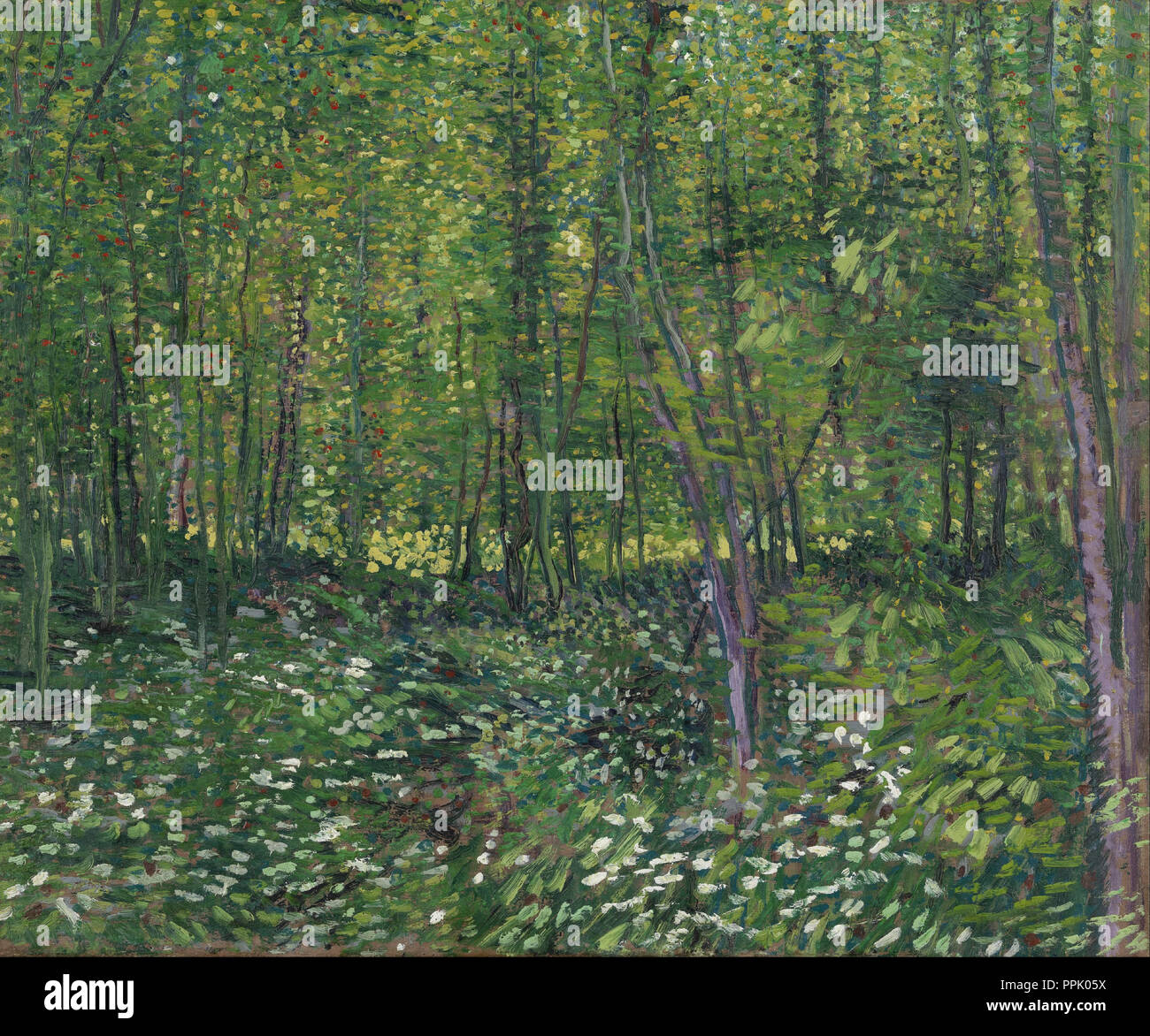 Bäume und Unterholz. Datum/Zeitraum: Juli 1887 - 1887. Landschaft. Öl auf Leinwand. Autor: VINCENT VAN GOGH. Stockfoto