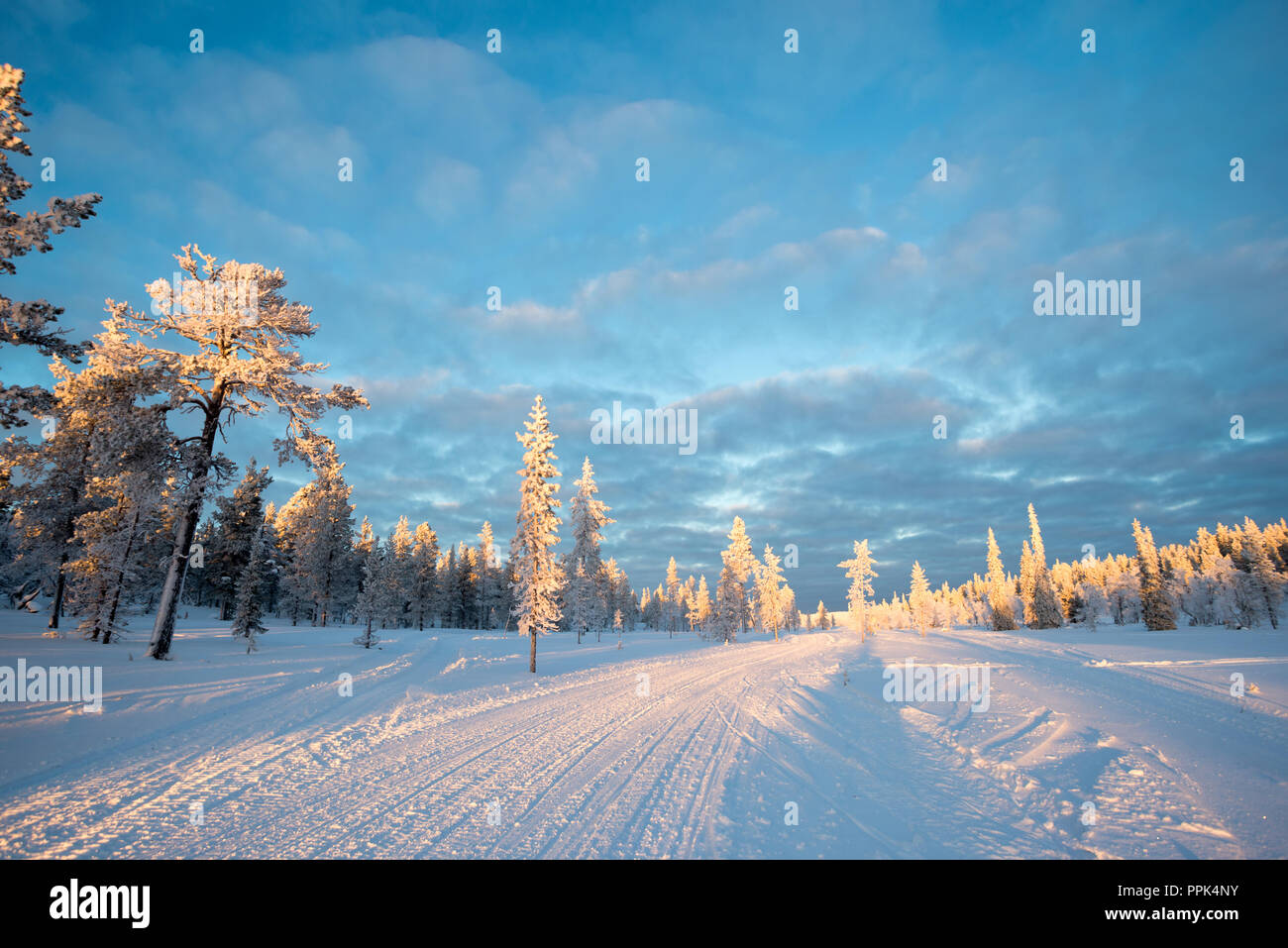 Verschneite Landschaft, gefrorene Bäume im Winter in Saariselka, Lappland, Finnland Stockfoto