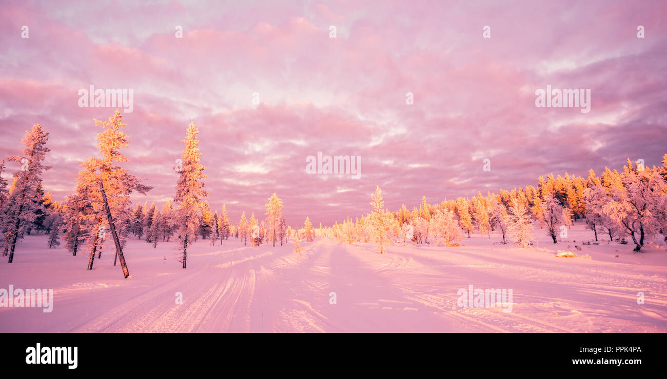 Verschneite Landschaft, rosa Abendlicht, gefrorene Bäume im Winter in Saariselka, Lappland, Finnland Stockfoto