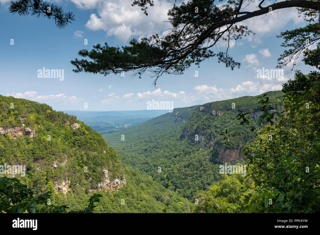 Cloudland Canyon Mountain malerische Landschaft Stockfoto