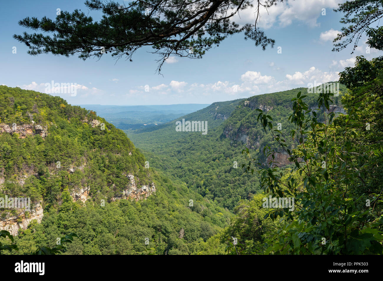 Cloudland Canyon Mountain malerische Landschaft Stockfoto