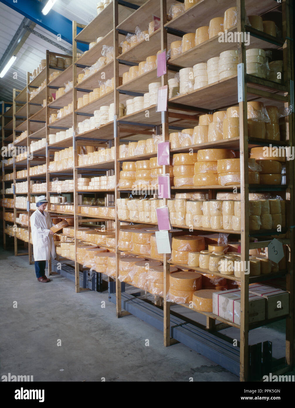 Arbeiter in einer Molkerei Inspektion Käse store Stockfoto
