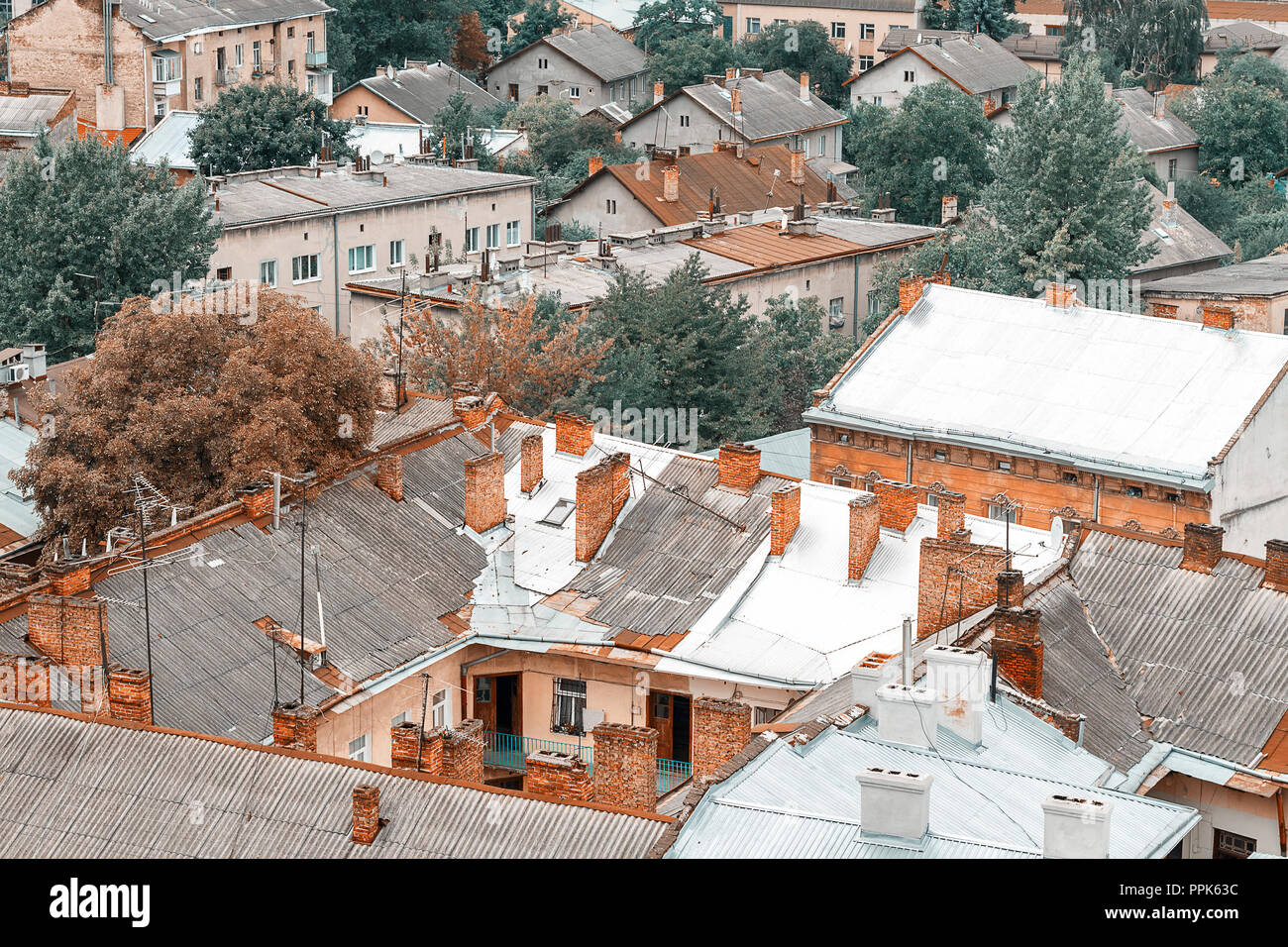 Alte Lemberg reisen Foto. Luftaufnahme von St. Elisabeth Kirche Stockfoto