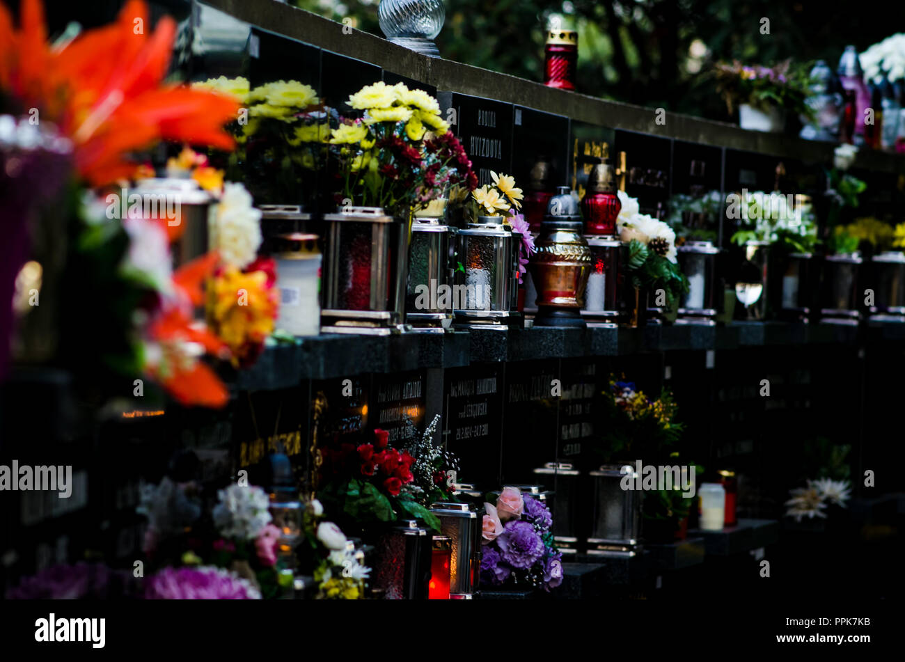 Bunte Kerzen während Allerheiligen auf dem Friedhof Stockfoto
