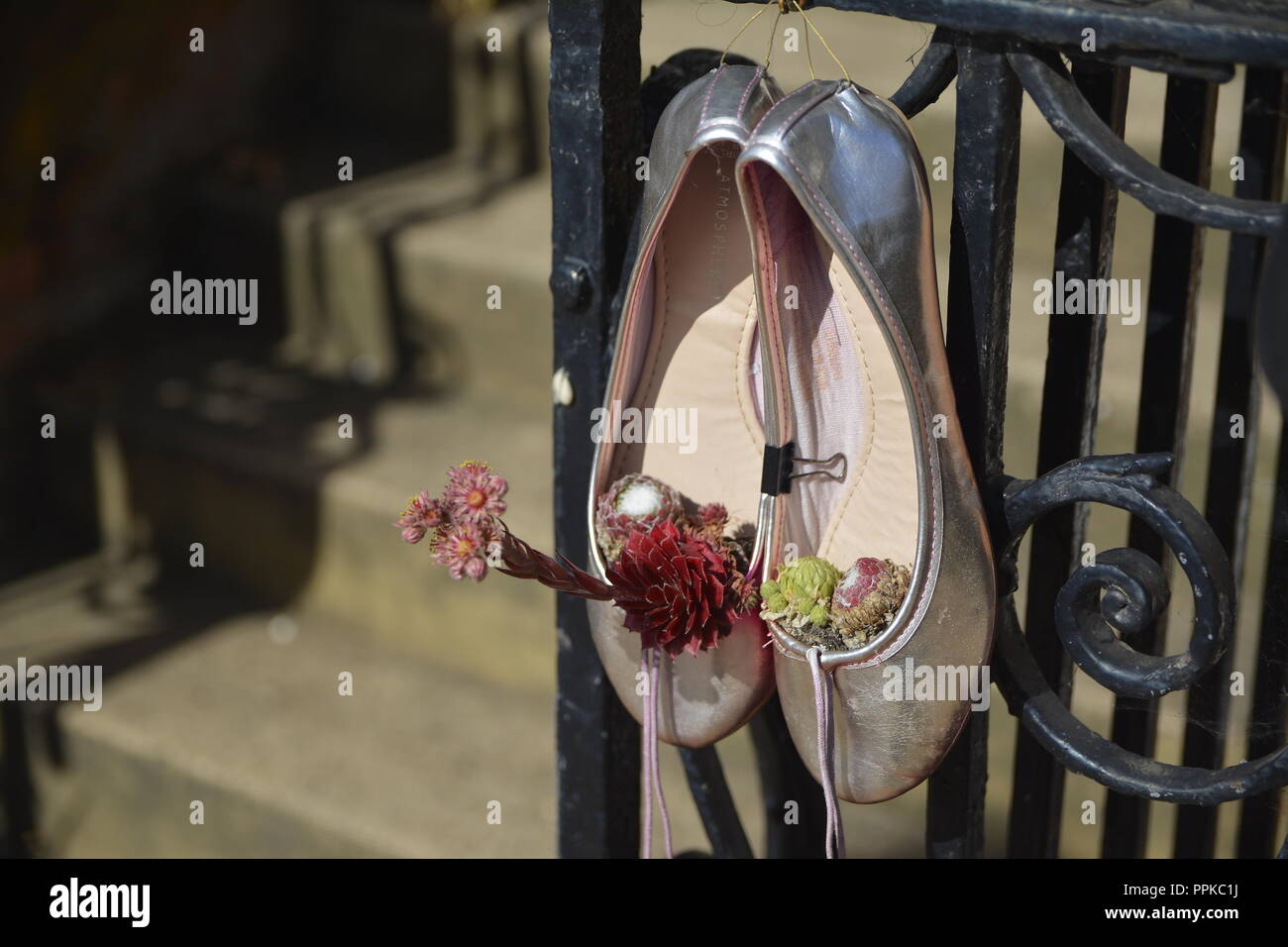 Pflanzen und Blumen wachsen in der Schuhe auf dem Geländer in Northampton, Großbritannien Stockfoto