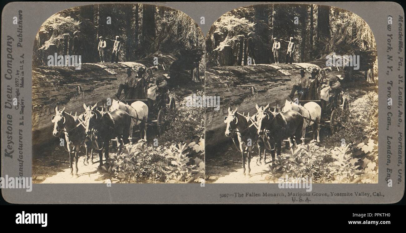[Gruppe von 100 Stereograph Ansichten von Kalifornien Natur und Landschaften mit einem Fokus auf Yosemite]. Artist: Unbekannt (Amerikanischen); Unbekannt; George W. Griffith (Amerikanischen); H. C. White Company (Amerikanische); Truman Ward Ingersoll (American, 1862-1922); G.H.Aldrich & Company (Amerikanische); Amerikanische Stereoscopic Company; Andrew Preis (Amerikanische). Autor: James Mason Hutchings (Amerikanische (England) geboren, 1820-1902); John Muir (Amerikanische, geboren in Schottland, 1838-1914). Abmessungen: ca. 8,6 x 17,5 cm (3 3/8 x 6 7/8 in.) auf 11,4 x 17,8 cm (4 1/2 x 7 in.). Fotografie Studio: Sun Skulptur funktioniert und Studi Stockfoto