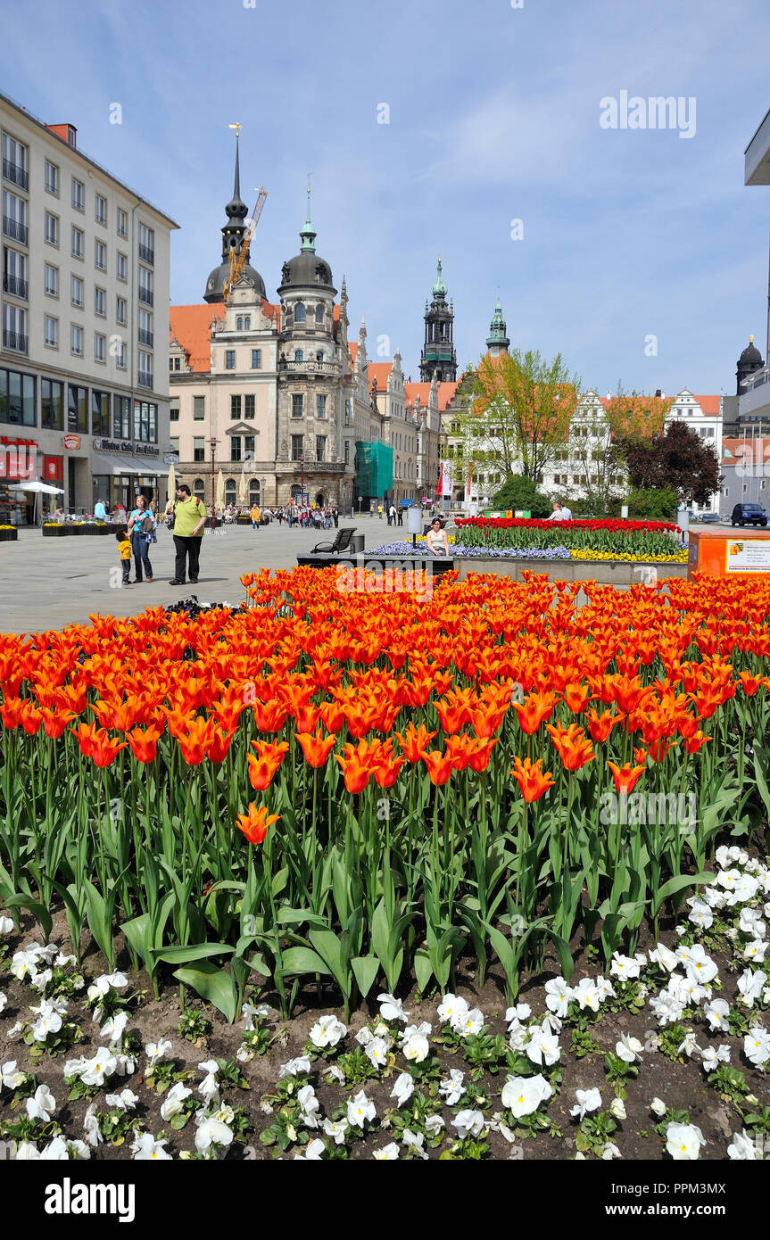 Street Scene, Dresden, Deutschland Stockfoto