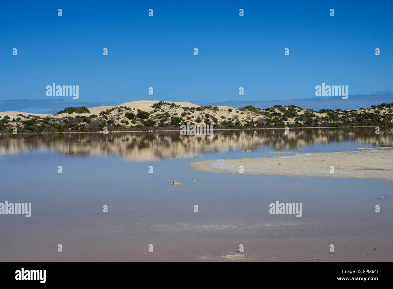 Weißen Sanddünen, Cactus Beach, der Großen Australischen Bucht, See Chadinga MacDonnall, Dünen, South Australia, Stockfoto