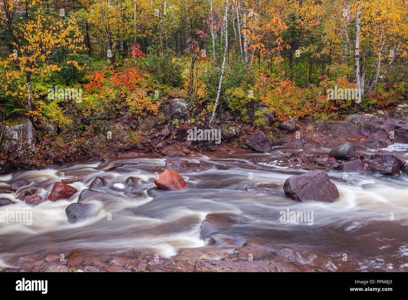 Herbst Farben entlang der beiden Island River Taconite Hafen, Minnesota Stockfoto