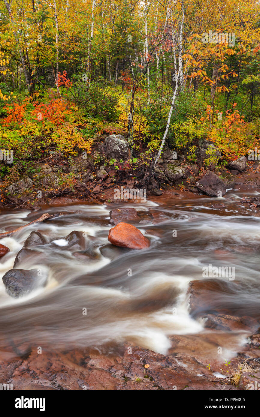 Herbst Farben entlang der beiden Island River Taconite Hafen, Minnesota Stockfoto
