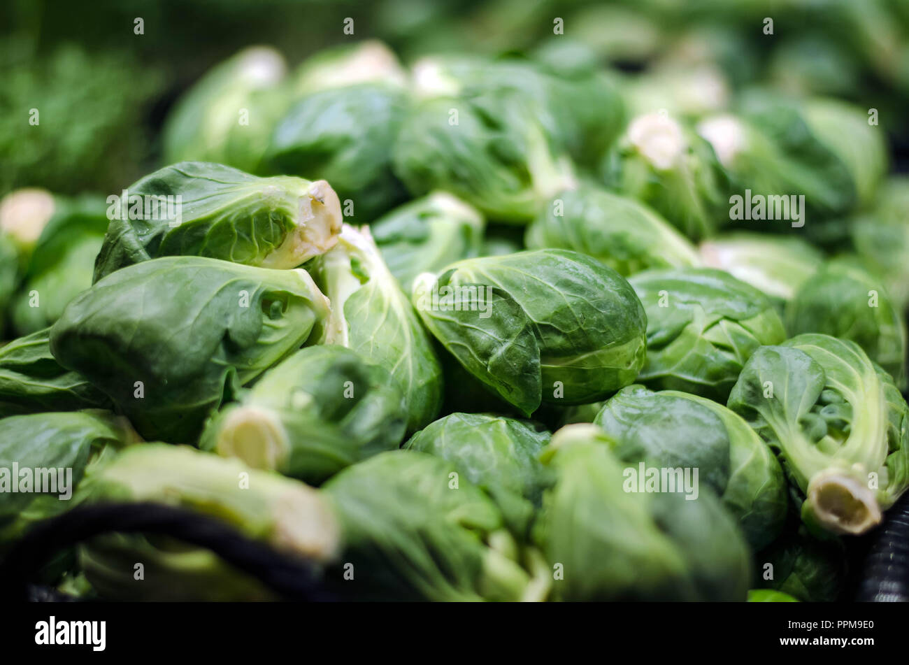 Frische, Bauernhof - Direkte, organische Rosenkohl lose verkauft. Stockfoto