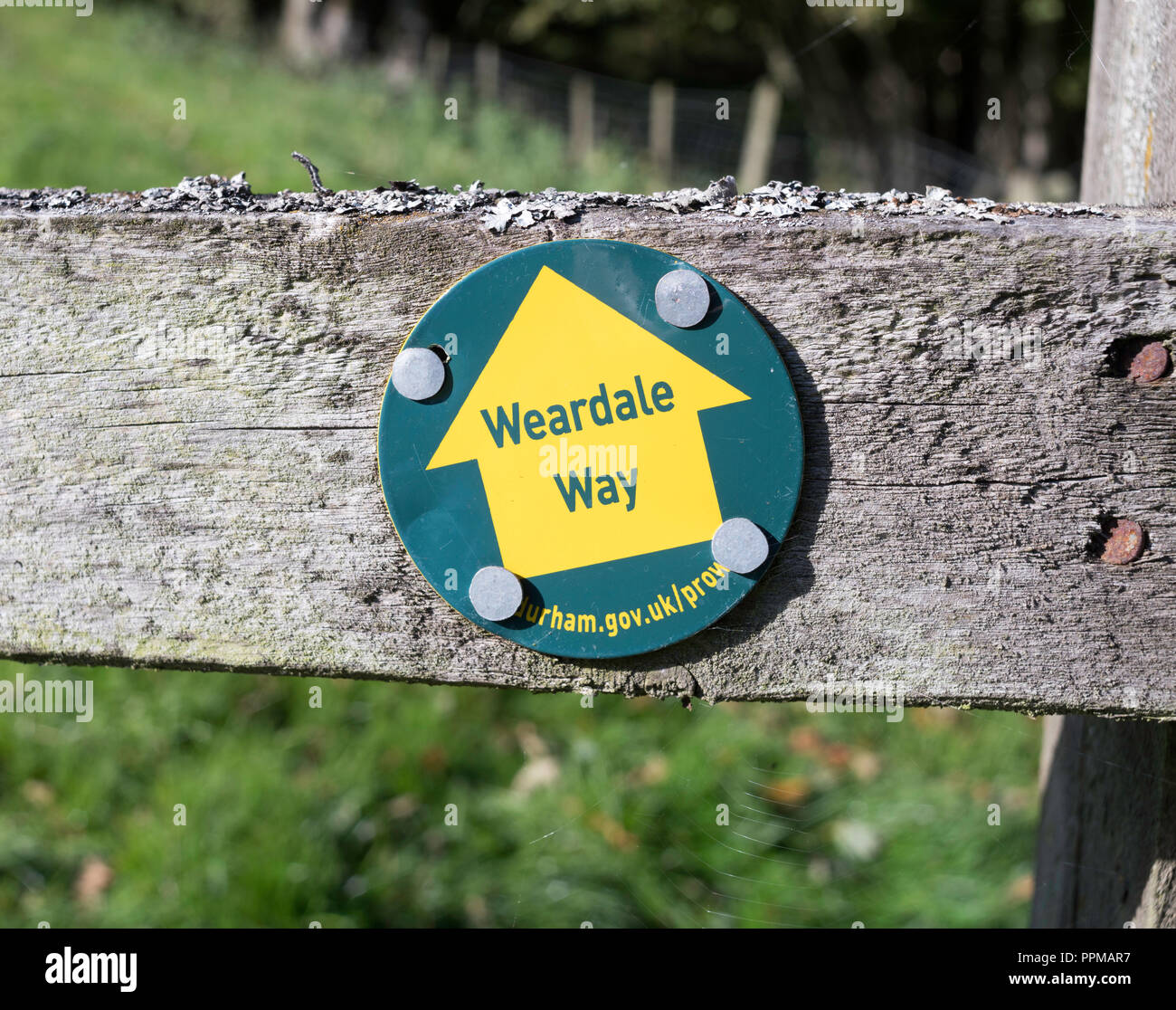 Gewohnt Weise Pfeil waymarker oder Zeichen, Co Durham, England, Großbritannien Stockfoto