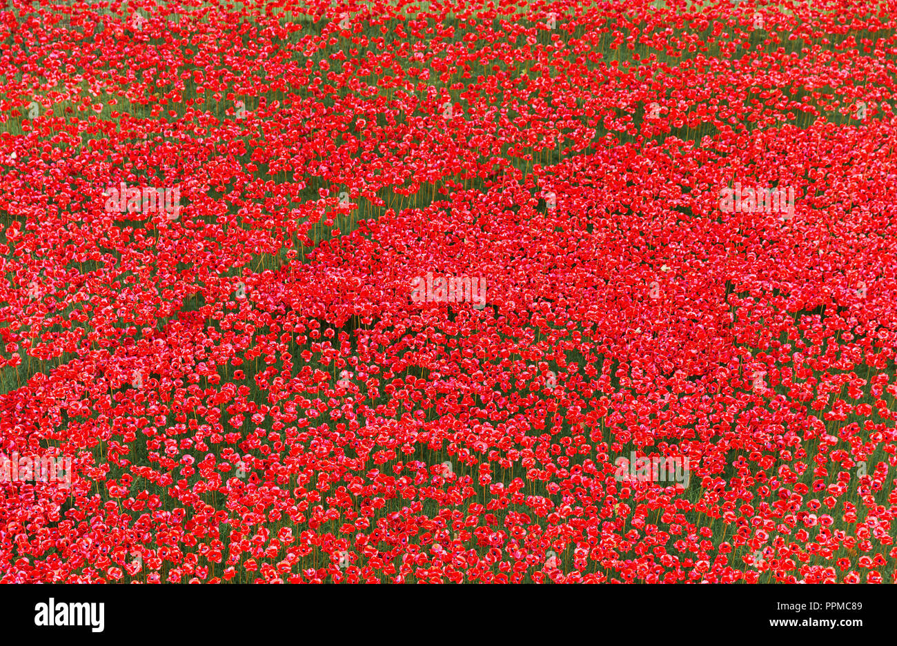 Keramik Mohnblumen Installation für der Tag des Gedenkens an den Tower von London Stockfoto