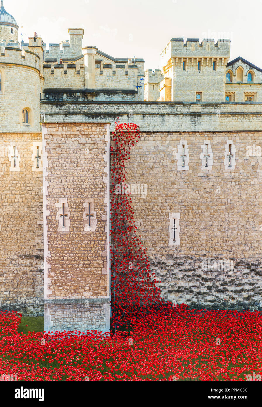 London, Großbritannien - 12 Aug 2014: Keramik Mohnblumen Installation für der Tag des Gedenkens an den Tower von London Stockfoto